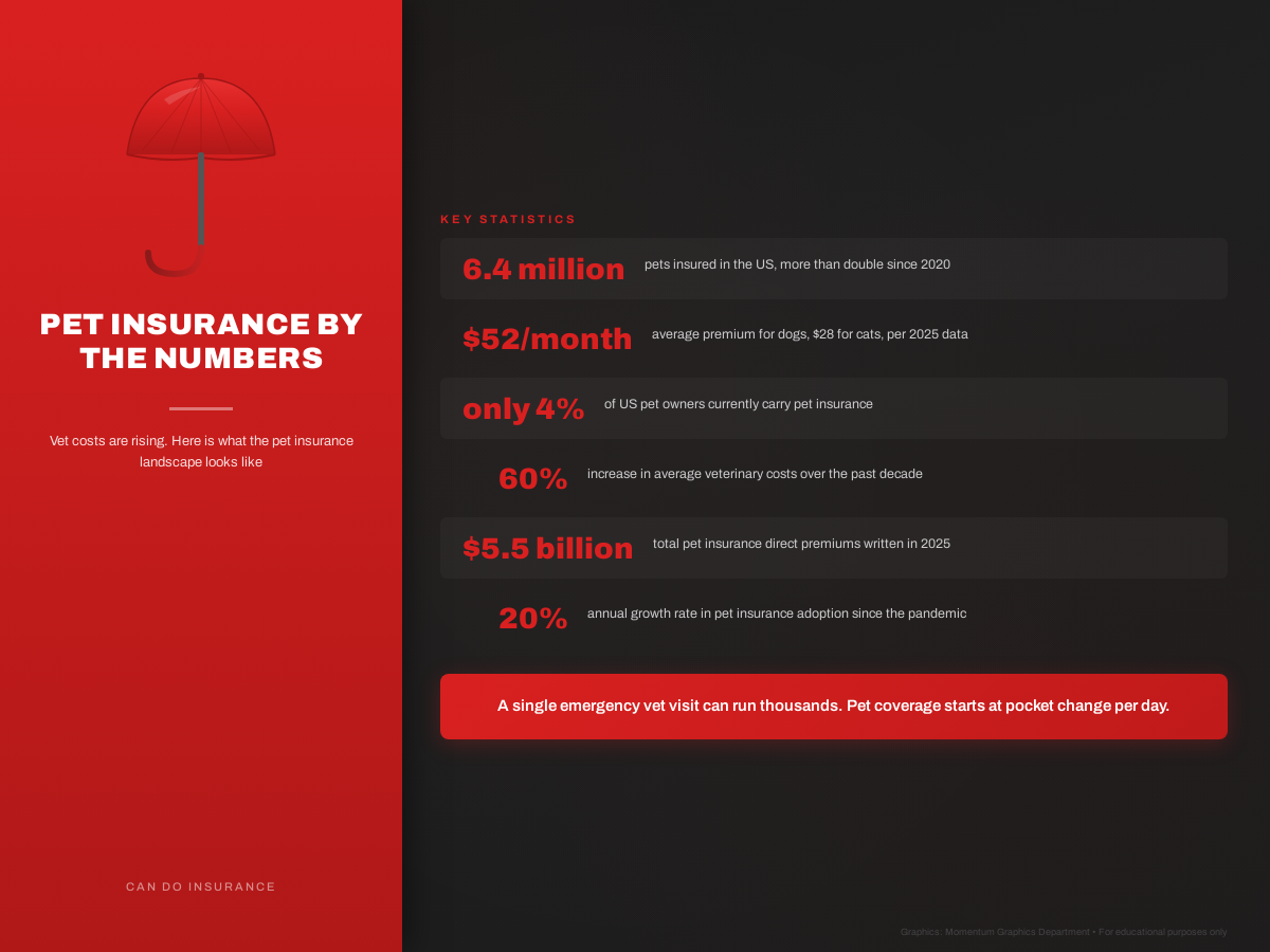 Can Do Insurance infographic: key statistics and coverage information